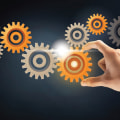 Interviews with Business Owners: Their Experience with Software and Its Impact on Operations